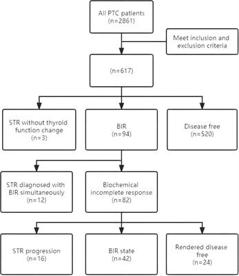 Assessing the role of central lymph node ratio in predicting recurrence in N1a low-to-intermediate risk papillary thyroid carcinoma